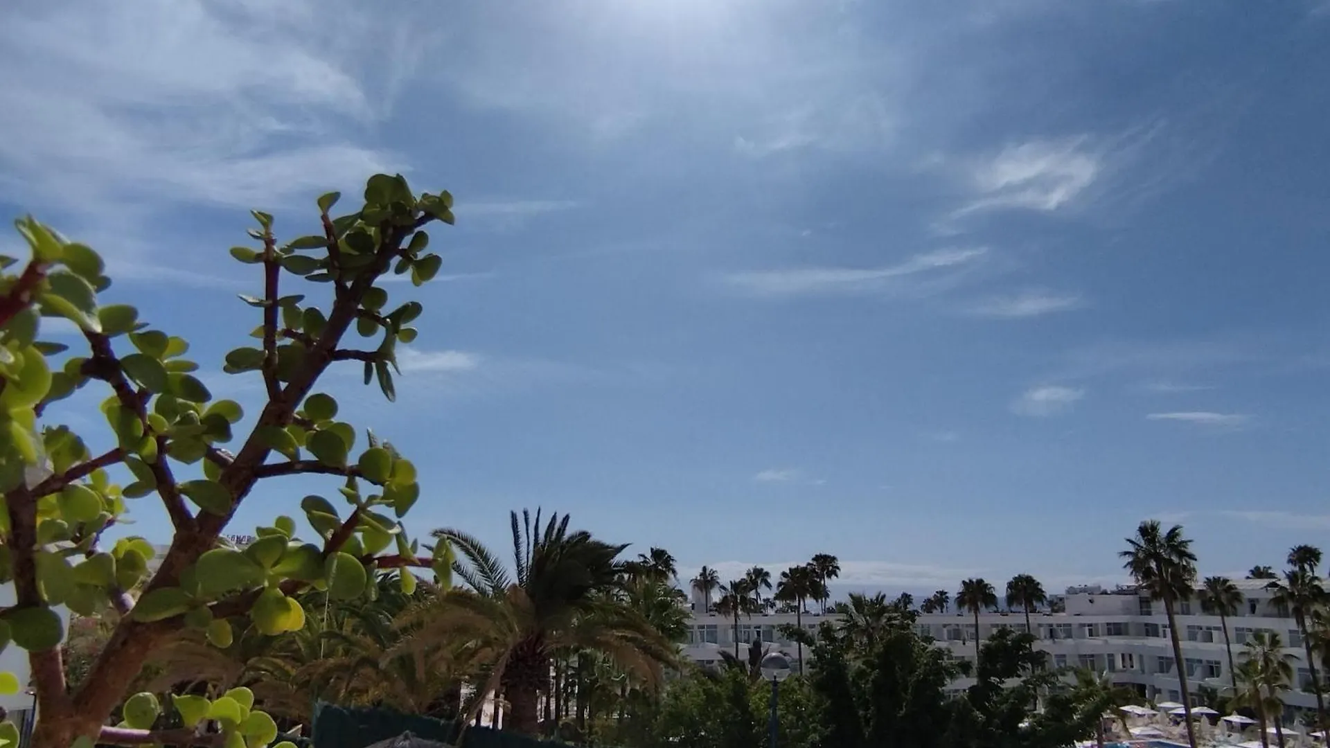 דירה אדחה Garden City ספרד